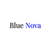 Bluenova IT Solutions logo - Similar company to Intelec Aec