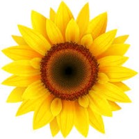 Sunflower Industries logo - Similar company to Stitching Cotton Pvt Ltd