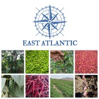 East Atlantic International logo - Similar company to Jackbridge & Co.