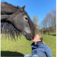 Kairos Coaching/Paardencoaching logo - Similar company to Odensehuis Amersfoort