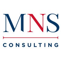 MNS Consulting IL logo - Similar company to Beta Finance