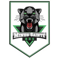 Bureau Des Sports - Mines de Saint-Etienne logo - Similar company to Bizerba Luceo
