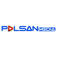 Palsan Media logo - Similar company to Fingerthink - Hispanic Marketing Firm
