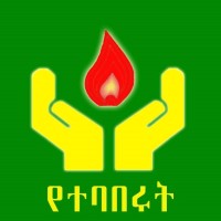 Yetebaberut Beherawi Petroleum S.C logo - Similar company to National Oil Ethiopia Plc (Noc)