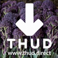 THUD Limited logo - Similar company to Entourage