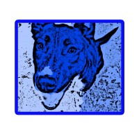 Hoodpuppy Productions & Renegade Creative