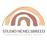 Studio Hemelsbreed logo - Similar company to Central Industry Group