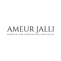 Ameur Jalli - Growth and Innovation Specialist logo - Similar company to Ten Grand™