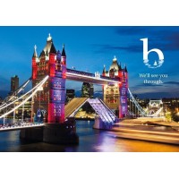 Bridger's Law logo - Similar company to The Vip Shutter Co Ltd