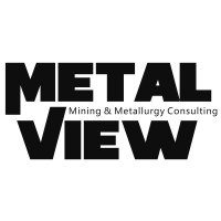MetalView Consulting logo - Similar company to Techfinancials Asia