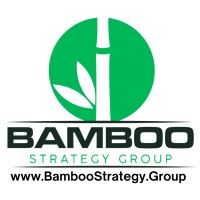 Bamboo Strategy Group logo - Similar company to Evectrifi Technologies Inc