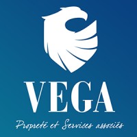 VEGA CS logo - Similar company to Hstac