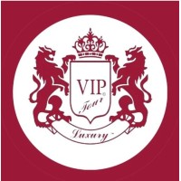 VIP LUXURY TOUR logo - Similar company to Esaw Student Accommodation