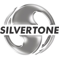 Silvertone Gravu Flex Pvt Ltd logo - Similar company to Nonwoven Global Solutions Llc