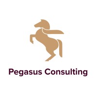 Pegasus Consulting, LLC logo - Similar company to Engagekart