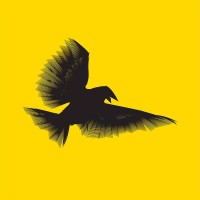 Noir Filmes logo - Similar company to 2004 Publicidade E Propaganda