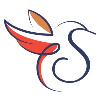 Soul Mirror logo - Similar company to Bankroll