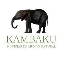 Kambaku logo - Similar company to Daados