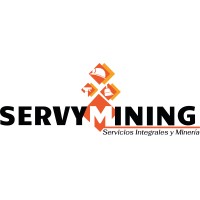Servymining logo - Similar company to Centro Médico Jenner