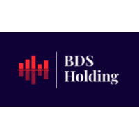 BDS Holding logo - Similar company to Betcc Sarl