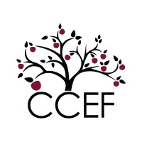Cherokee County Educational Foundation logo - Similar company to Technical Resource Solutions, Llc