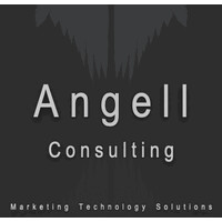 ANGELL CONSULTING LIMITED