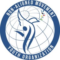 NAM Youth Organization Tanzania logo - Similar company to Citizens For Change