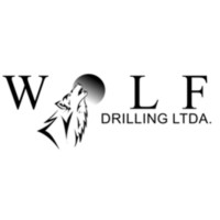 Wolf Drilling Ltda logo - Similar company to Gexshn: Expertos En Gis