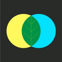 Mint Studio ( Design and Product Agency ) logo - Similar company to Pring Design - Product Design Studio