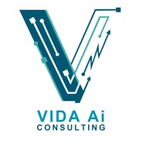 Vida AI consulting