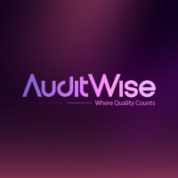 AuditWise logo - Similar company to Ravenware Ltd