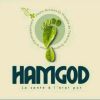 HAMGOD logo - Similar company to Tmp Process & Utilities