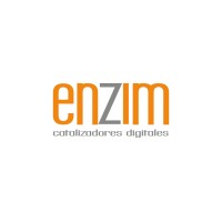ENZIM DIGITAL logo - Similar company to Enzim Biotech