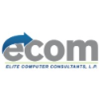 ECOM logo - Similar company to Ecom.Software