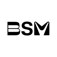 BSM logo - Similar company to Fbh Group