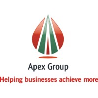 Apex Group logo - Similar company to Apex Engineering Works