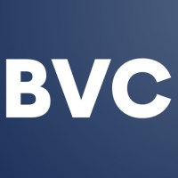 Bavucan Capital logo - Similar company to Deep Space Interactive