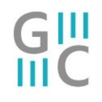 Gemini Capital Global logo - Similar company to Origin Ecn