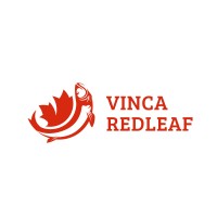 Vinca Red Leaf Inc