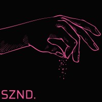 SZND Media logo - Similar company to Takedown Media