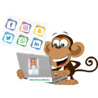 Dubai Mall of Social Media logo - Similar company to Mango Media Dubai