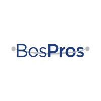 BosPros logo - Similar company to Trigon Turkey