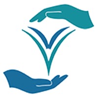 Visual Vitality Consulting