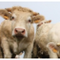 Serenity Farm of Alabama logo - Similar company to Never Fail, Llc