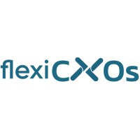 Flexi CXOs logo - Similar company to Obsitech Solutions Pvt. Ltd
