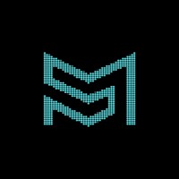 MetaSearch Global logo - Similar company to Alice In Web3