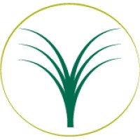 DOMAINE DES PALMIERS logo - Similar company to Smartisia.Fr