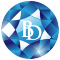Blue Diamond Energy logo - Similar company to Sensoleak Global, Inc.