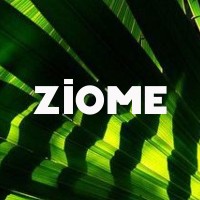 Ziome logo - Similar company to Modern Ōm