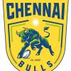 Avid Sports (Chennai Bulls) logo - Similar company to Avidsys Group